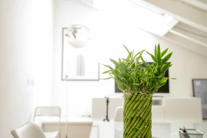 Laser Protection Adviser London: Inspection-Ready Checklist for Laser & IPL Clinics (2026)